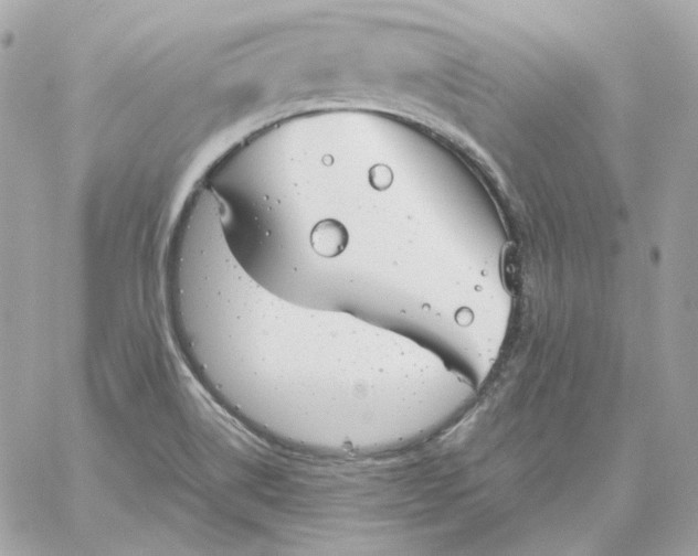 X0000060261514200511112008