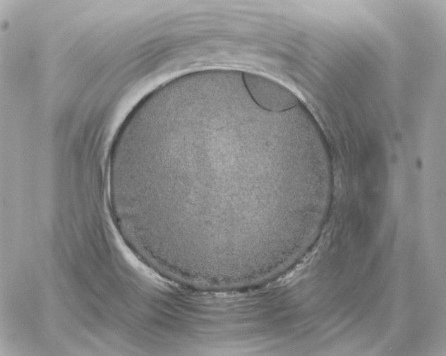 X0000060261515200511112008