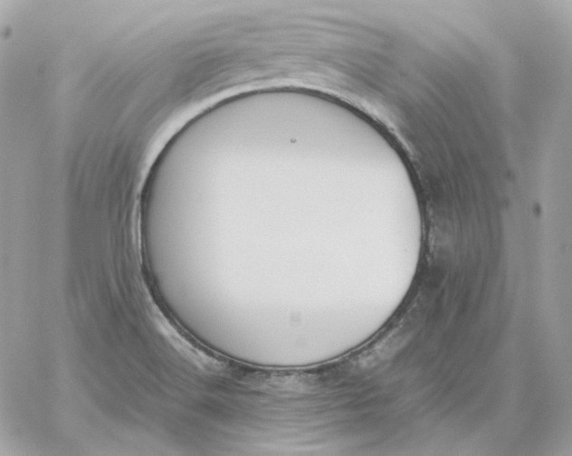 X0000060261516200511112008