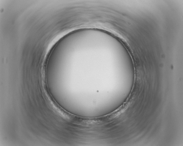 X0000060261517200511112008