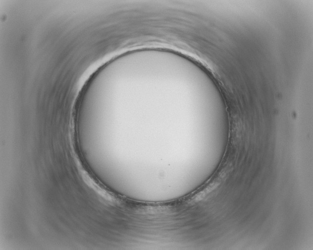 X0000060261518200511112008