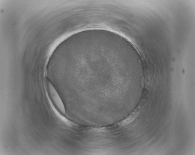 X0000060261519200511112008