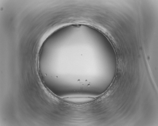 X0000060261520200511112008