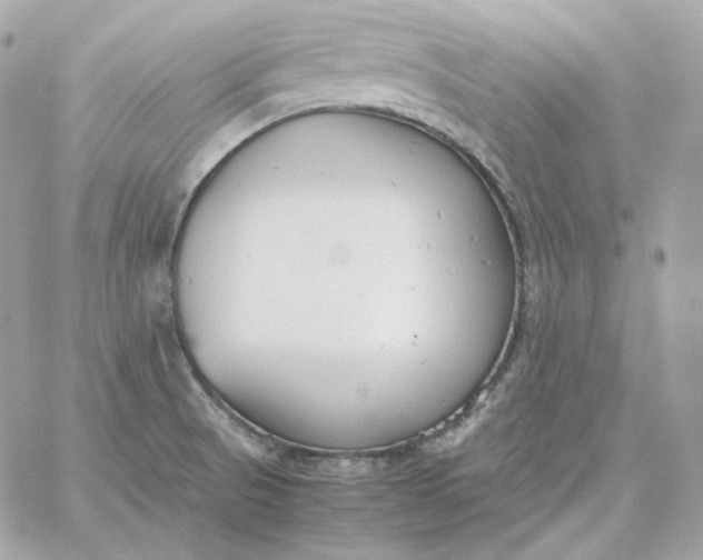 X0000060261521200511112008