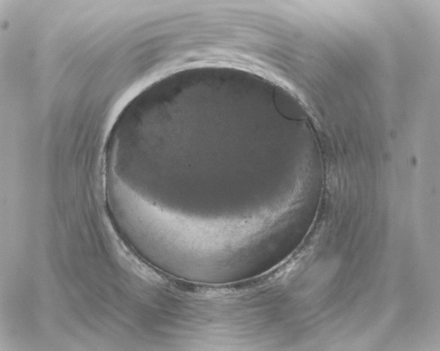 X0000060261522200511112008