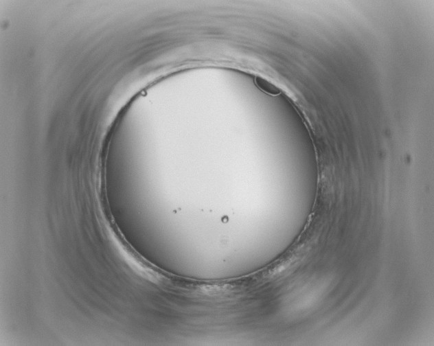 X0000060261523200511112008