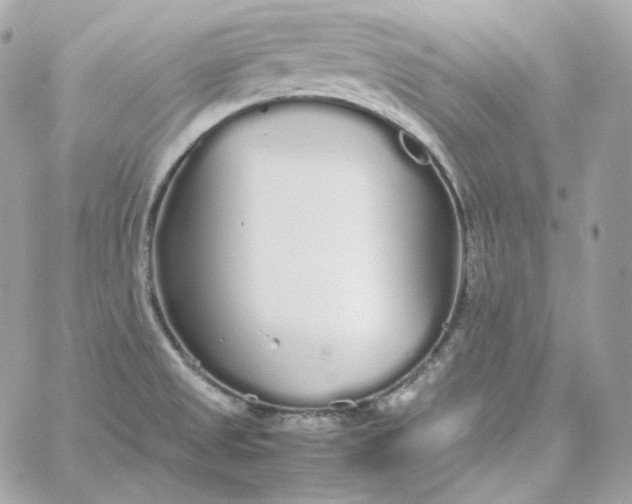 X0000060261525200511112008