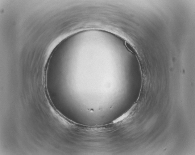 X0000060261527200511112008