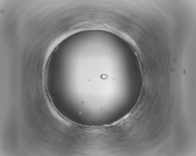 X0000060261528200511112008