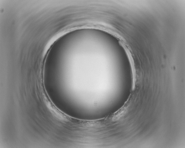 X0000060261530200511112008