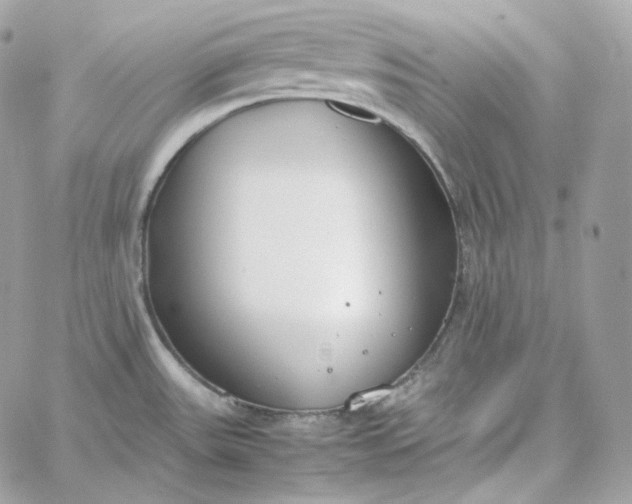 X0000060261531200511112008