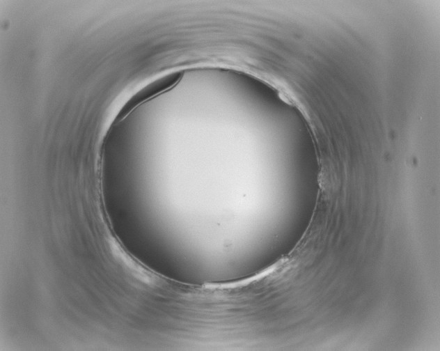 X0000060261532200511112008