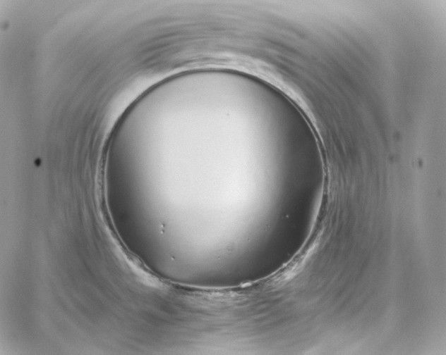 X0000060261533200511112008