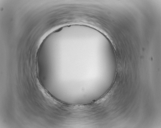 X0000060261534200511112008