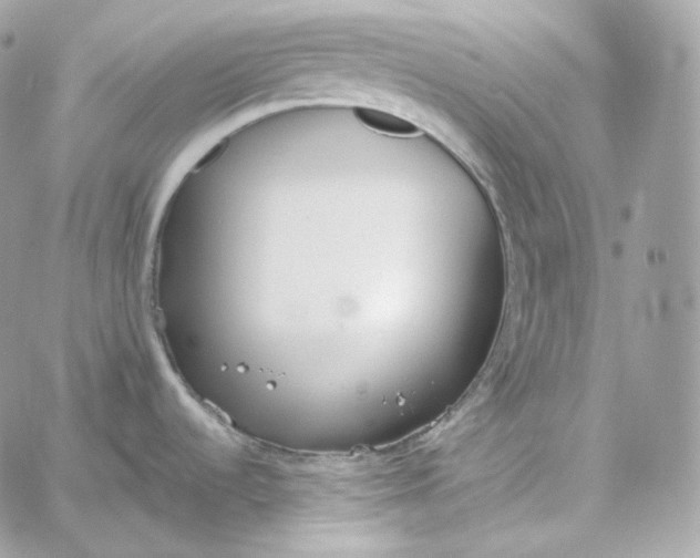 X0000060261536200511112008