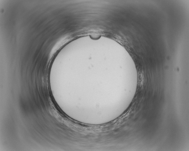 X0000060260004200511181406