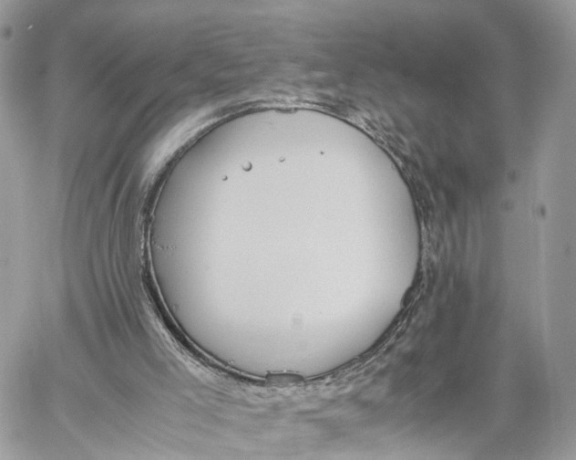 X0000060260005200511181406