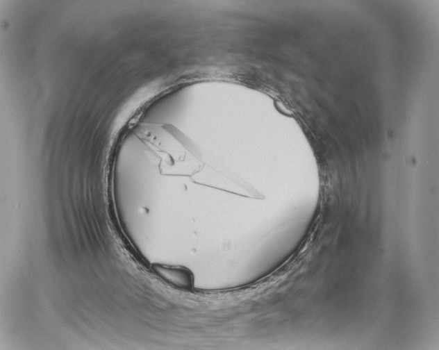 X0000060260006200511181406