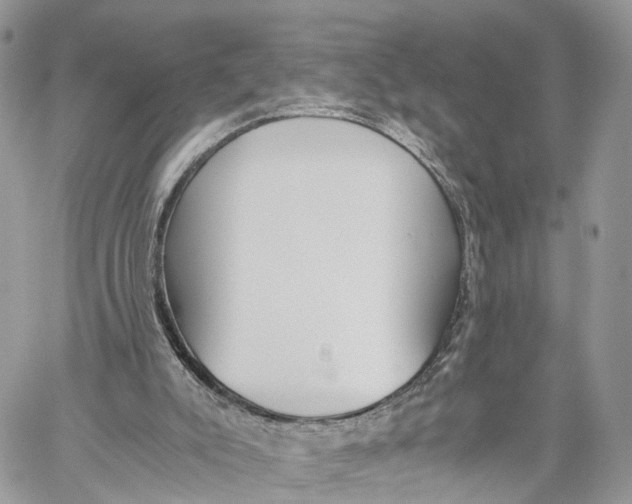 X0000060260007200511181406