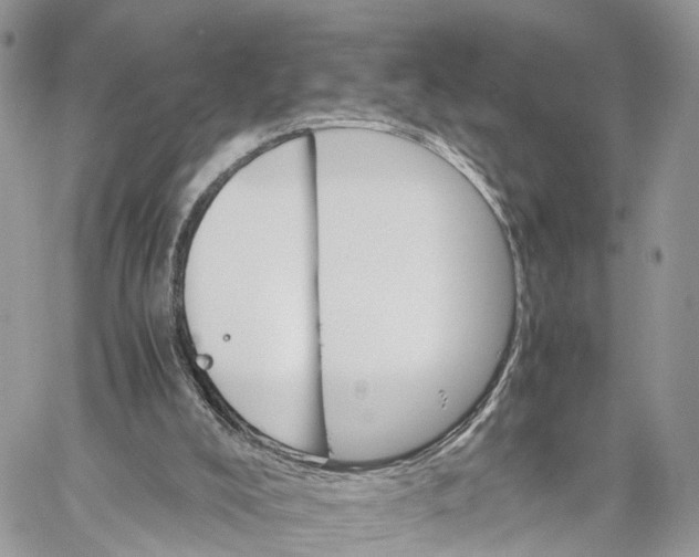 X0000060260008200511181406