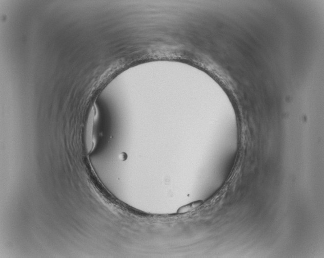 X0000060260009200511181406