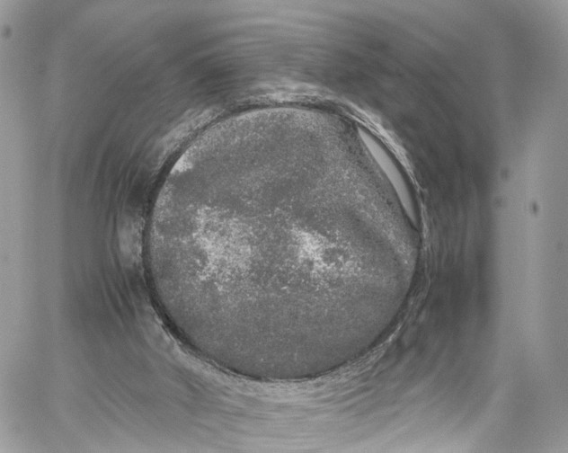 X0000060260010200511181406