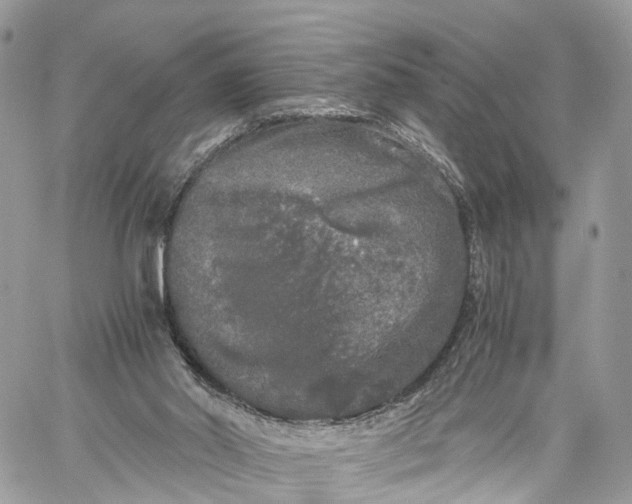 X0000060260014200511181406