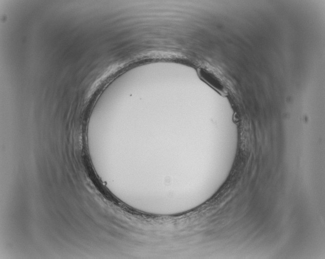 X0000060260015200511181405