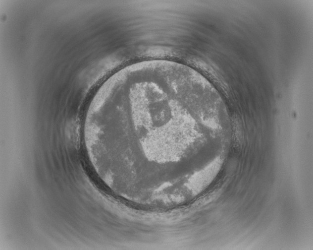 X0000060260016200511181405