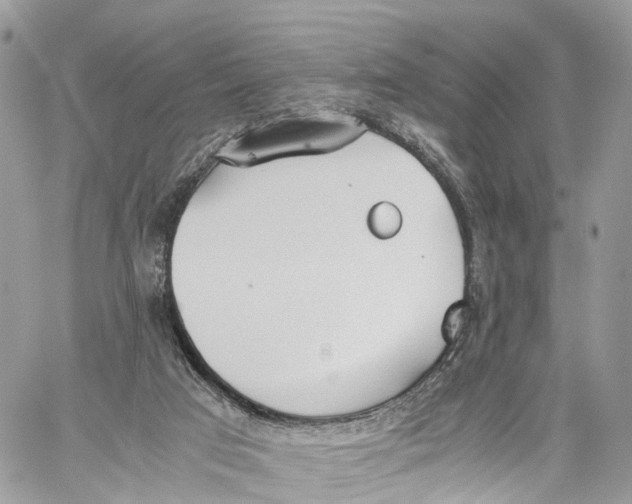 X0000060260017200511181405