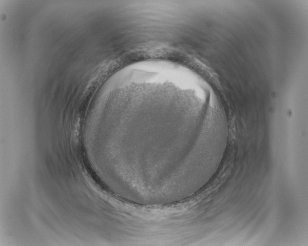 X0000060260018200511181405