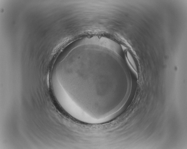 X0000060260019200511181405