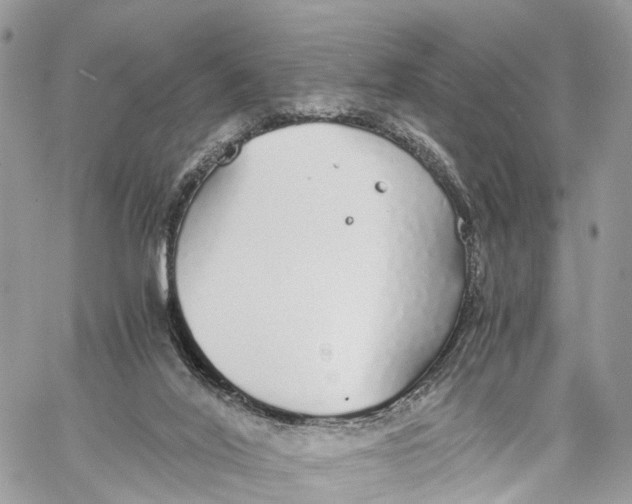 X0000060260020200511181405