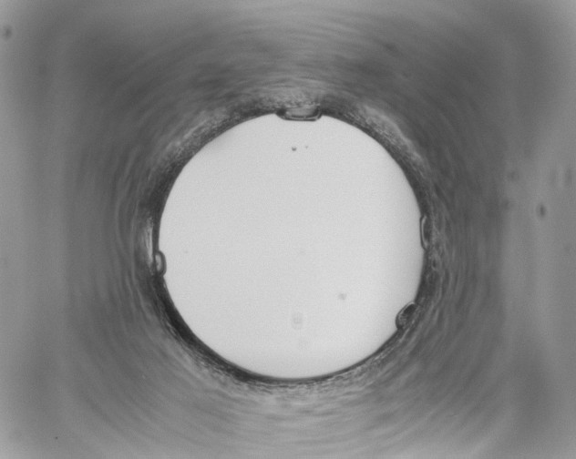 X0000060260021200511181405