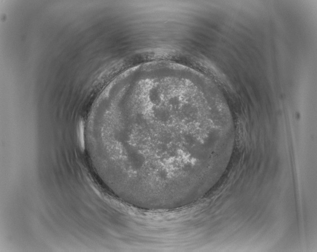 X0000060260022200511181405