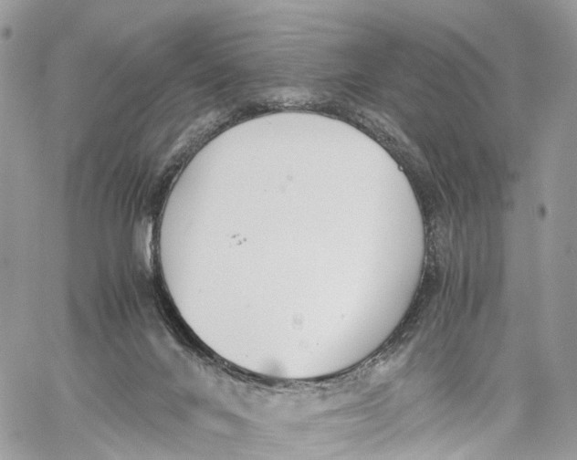 X0000060260024200511181405