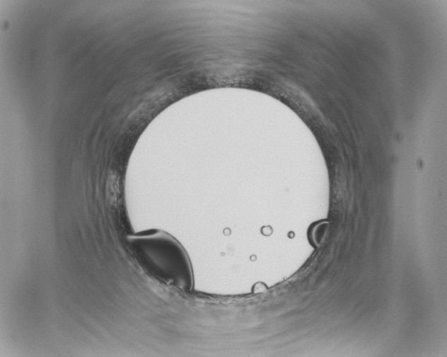 X0000060260025200511181405