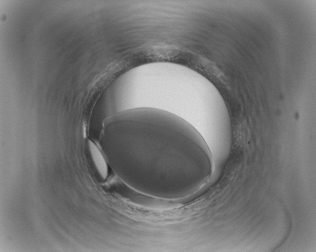 X0000060260027200511181405