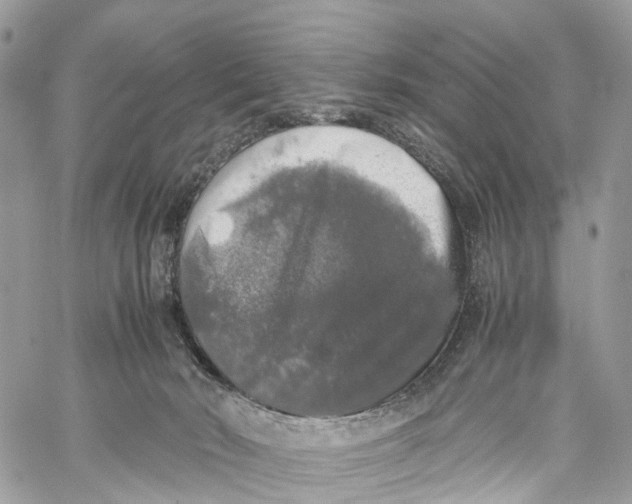 X0000060260030200511181405