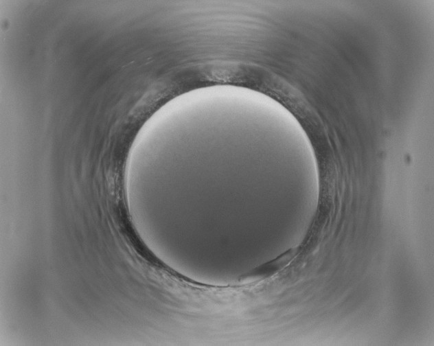 X0000060260031200511181405