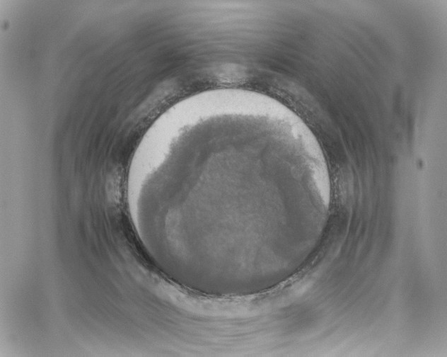 X0000060260032200511181405