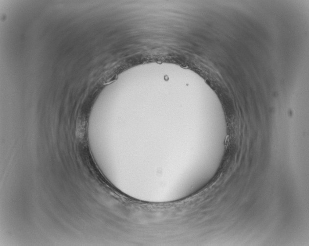 X0000060260033200511181405