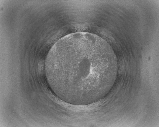 X0000060260034200511181405