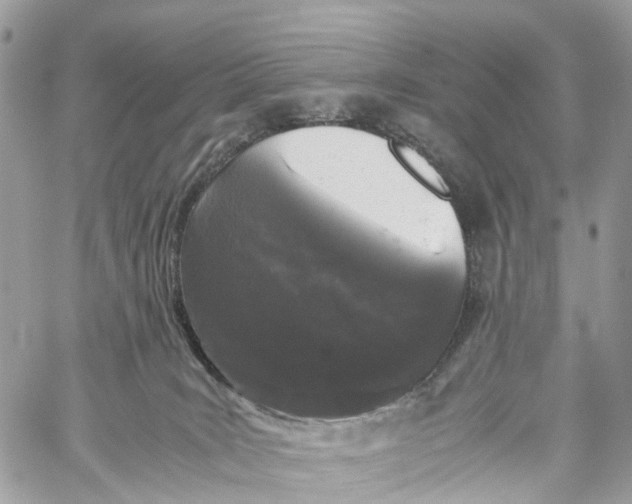 X0000060260035200511181405