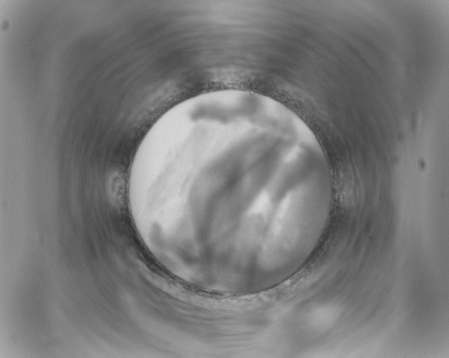 X0000060260036200511181405