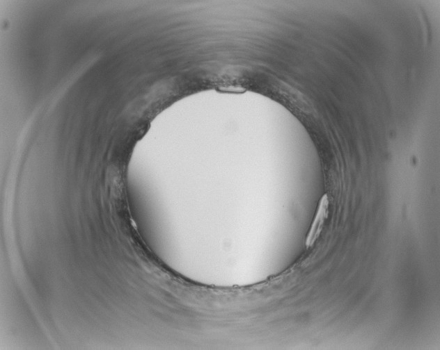 X0000060260037200511181405