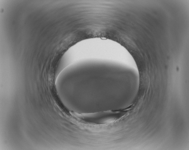 X0000060260039200511181405