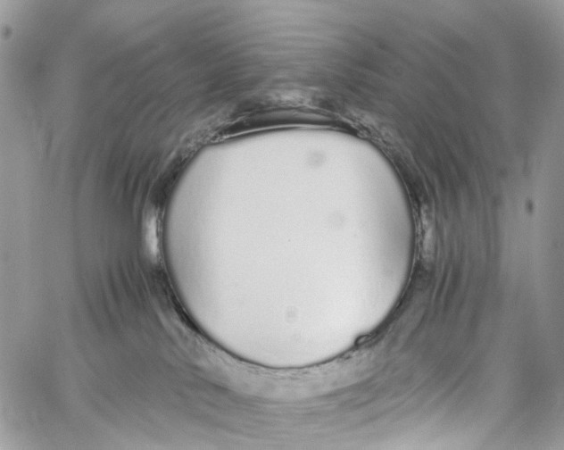 X0000060260042200511181405