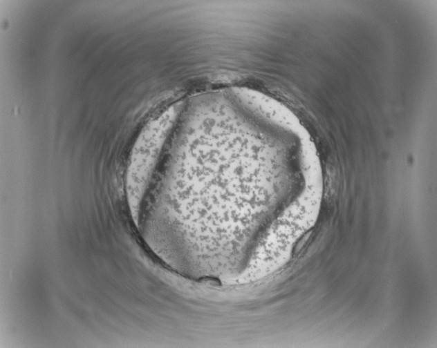 X0000060260043200511181405