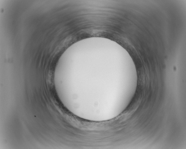 X0000060260044200511181405